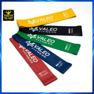 Dây kháng lực mini band Valeo Fitness tập mông, dây kháng lực cao su tập gym resistance miniband